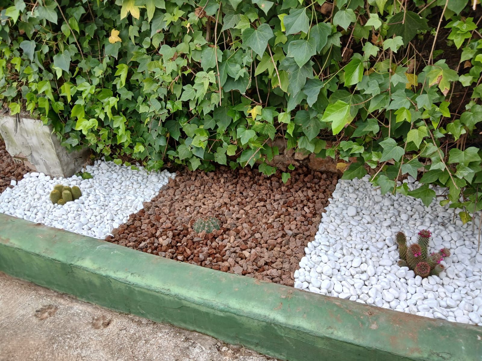 Un jardín lleno de rocas, plantas y hiedra.