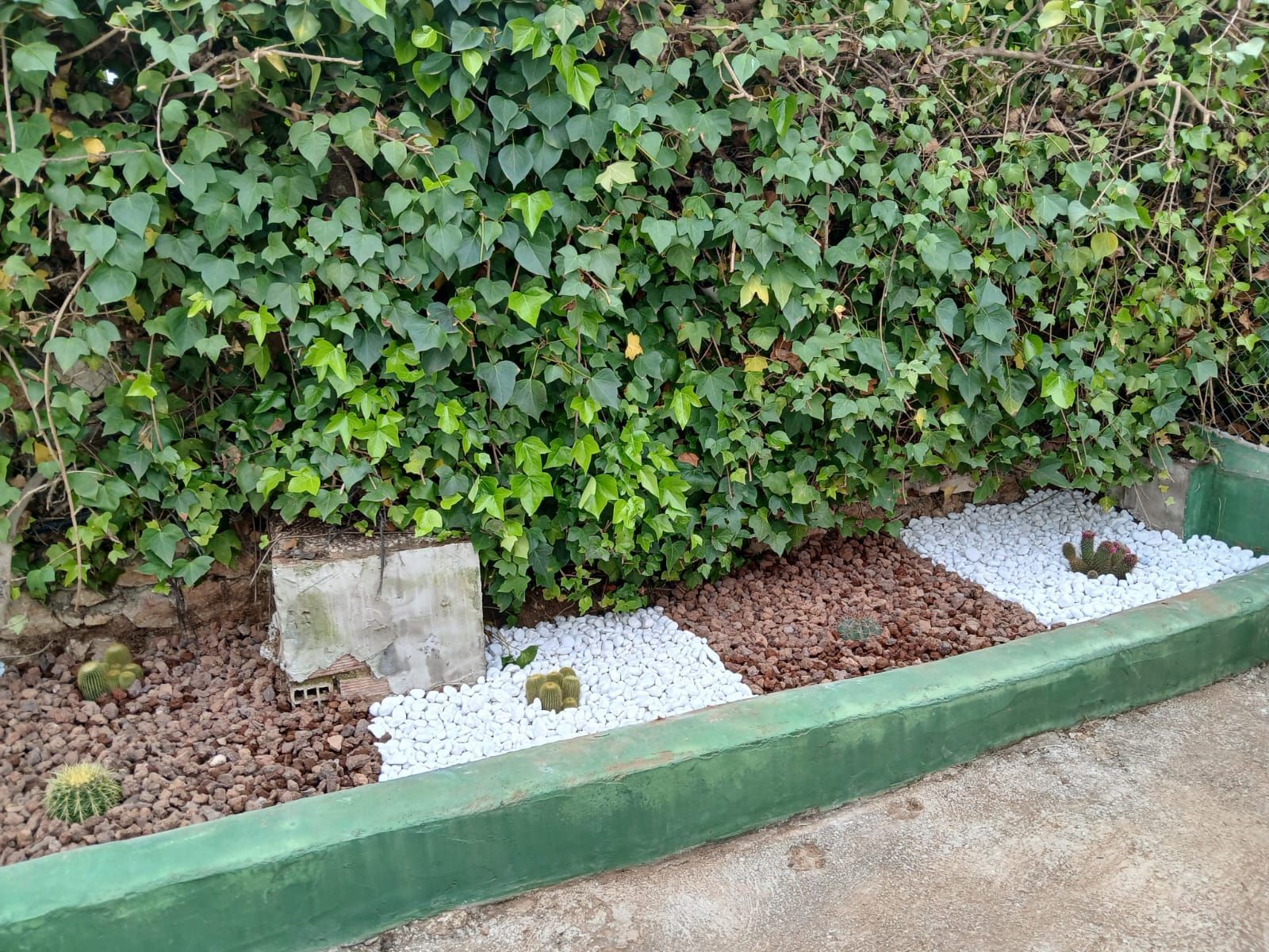 Un jardín con un borde verde y grava blanca delante de un seto.