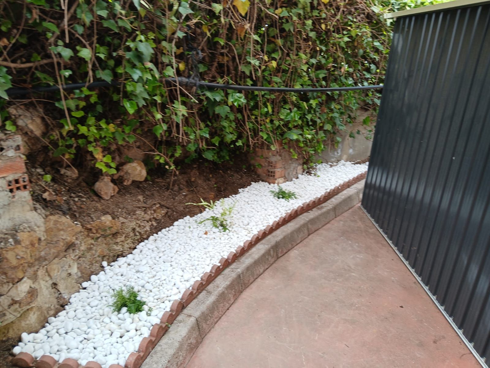 Un jardín lleno de rocas blancas y plantas junto a una valla.