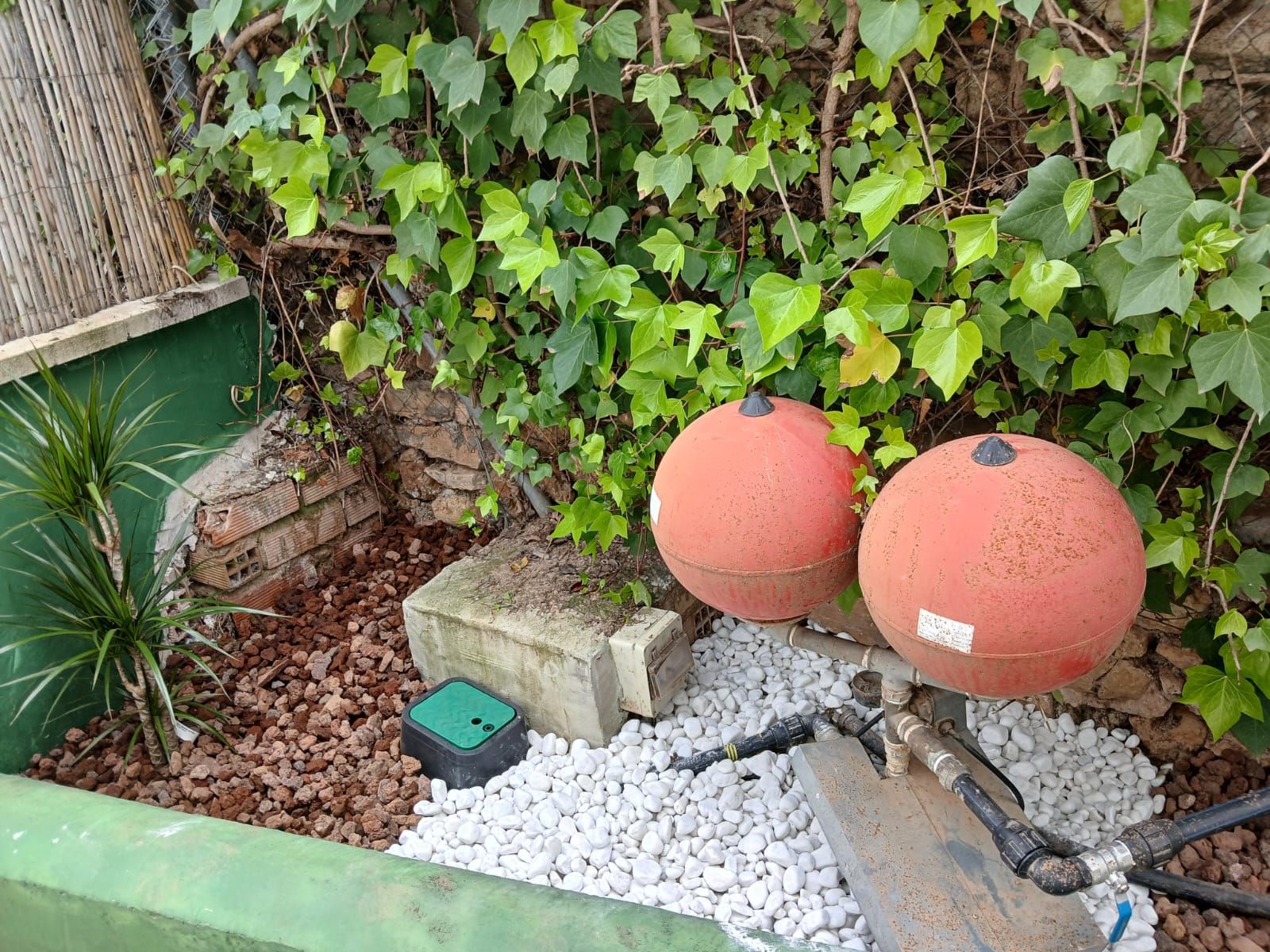 Dos bolas naranjas están sentadas en un jardín al lado de una pared de ladrillos.