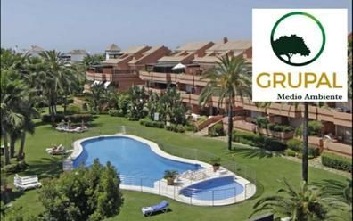 Una gran piscina rodeada de palmeras junto a un logo grupal.