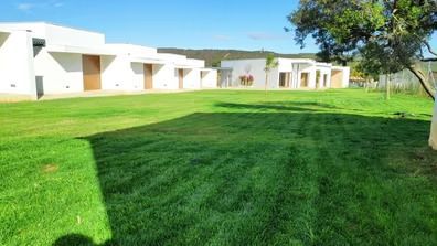 Un exuberante campo verde con una hilera de casas al fondo.