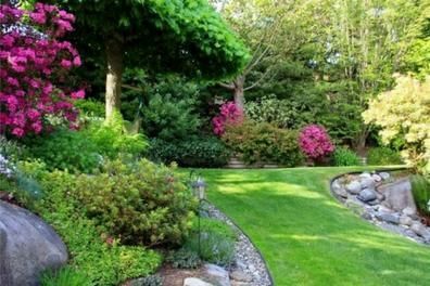 Un exuberante jardín verde con flores y árboles rosados