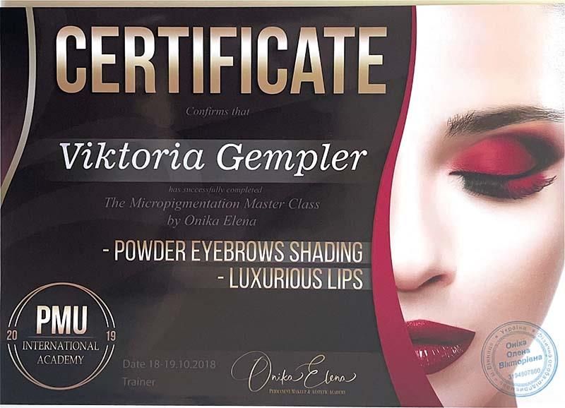 Ein Zertifikat für Puder-Augenbrauen, die luxuriöse Lippen schattieren