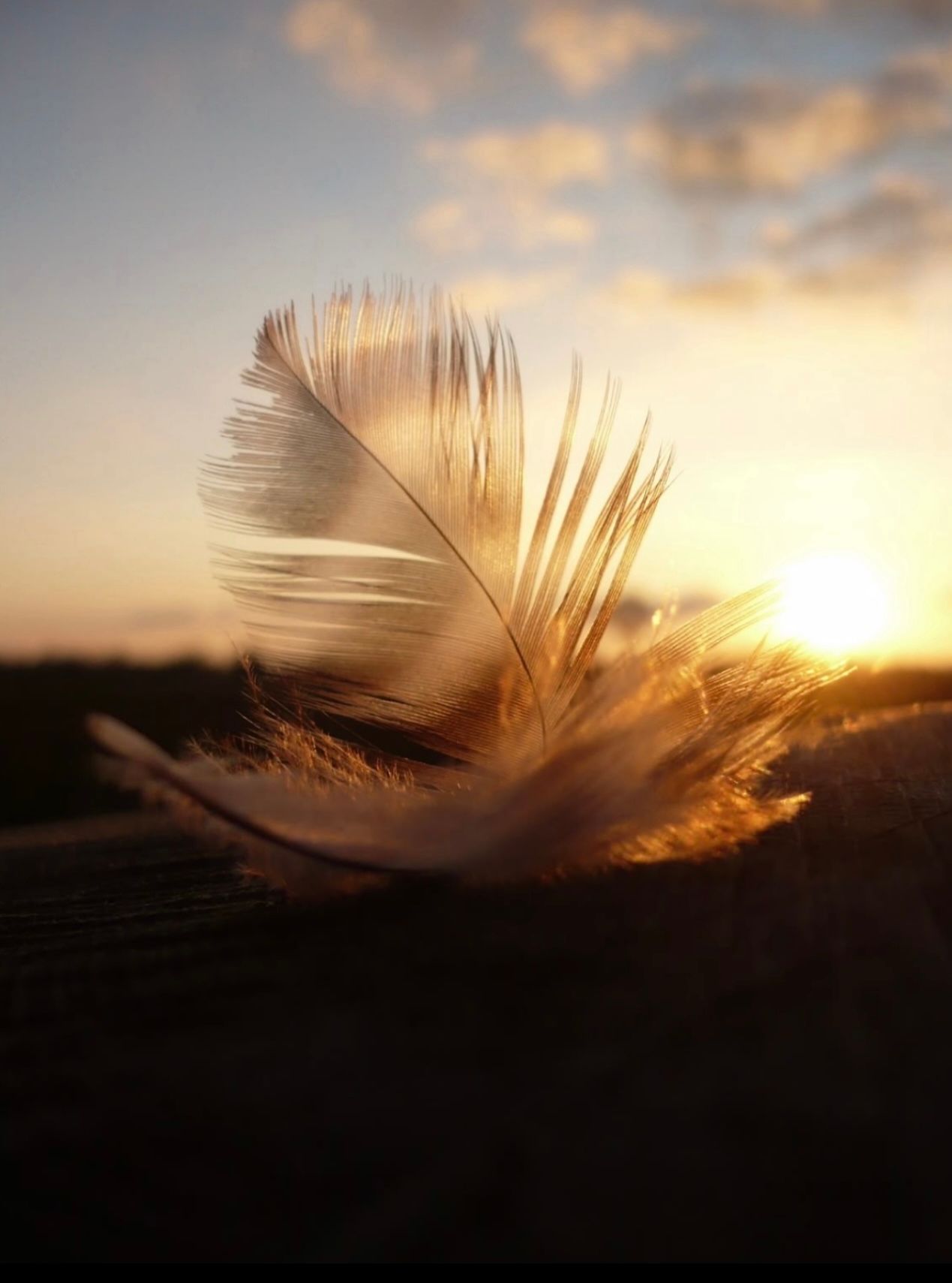 Zwei Frauen stehen nebeneinander und halten Tassen Kaffee.