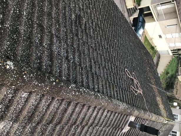 traitement antimousse sur toit