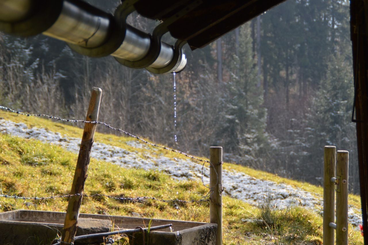 Gouttière en zinc qui goutte en bout de toit