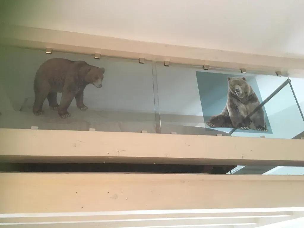 installation de garde corps en verre