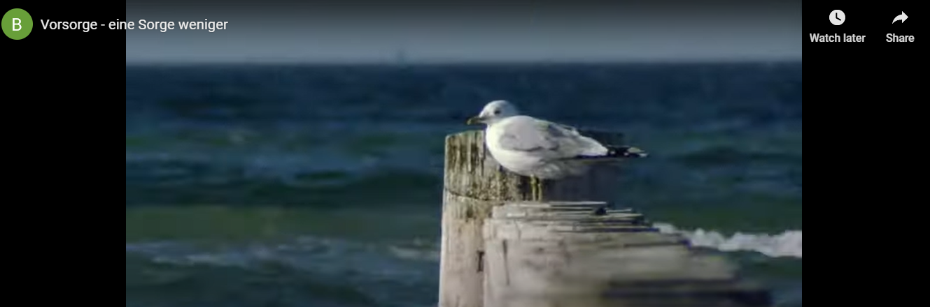 Vogel, Bild aus dem Video zur Vorsorge