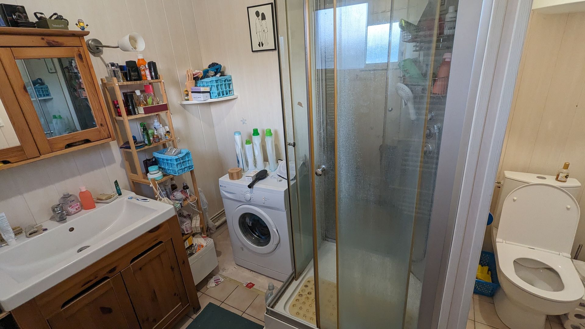 Salle de bains avec évier, machine à laver et toilettes