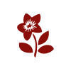 Icon Blume