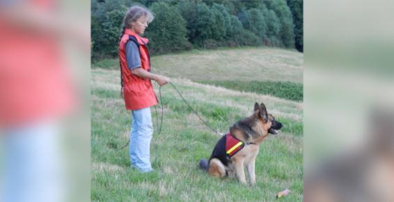 Éducation canine: Séances individuelles et personnalisées
