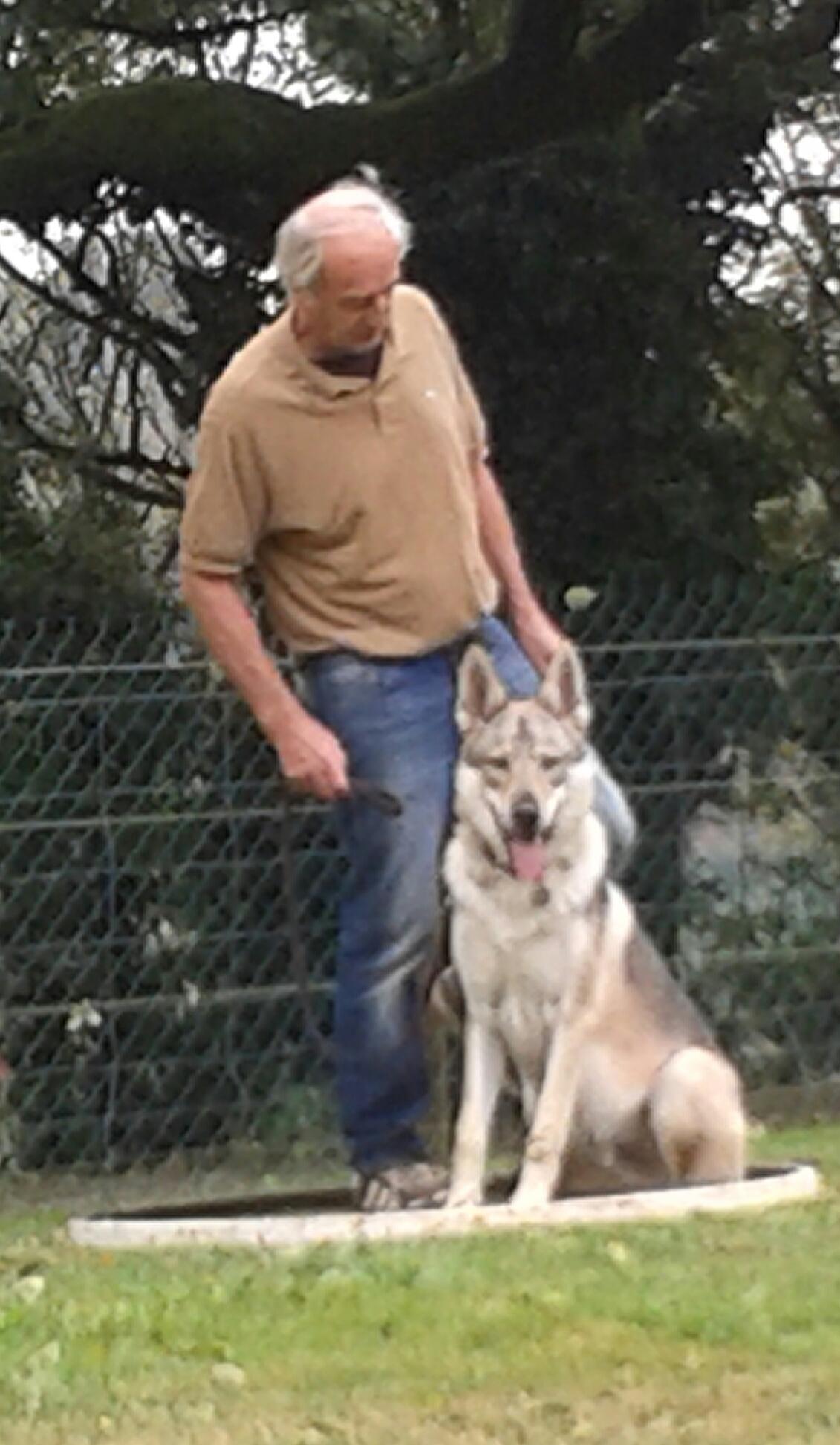 Education canine - Dans le Tarn