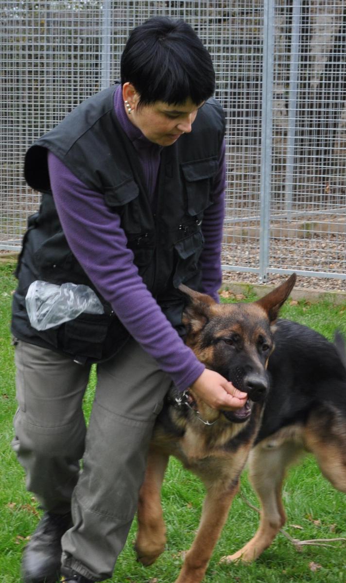 Education du chiot - Dans le Tarn