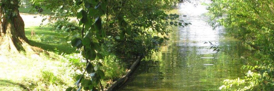 Ein Fluss, umgeben von Bäumen und Gras in einem Park