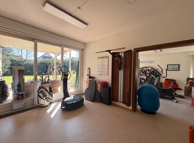 Helles Heim-Fitnessstudio mit Trainingsgeräten, grossen Fenstern und einem blauen Balanceball.