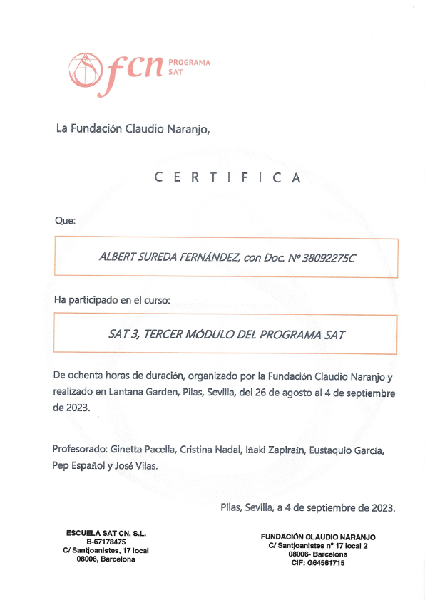 Un certificado en español está sobre un fondo blanco.