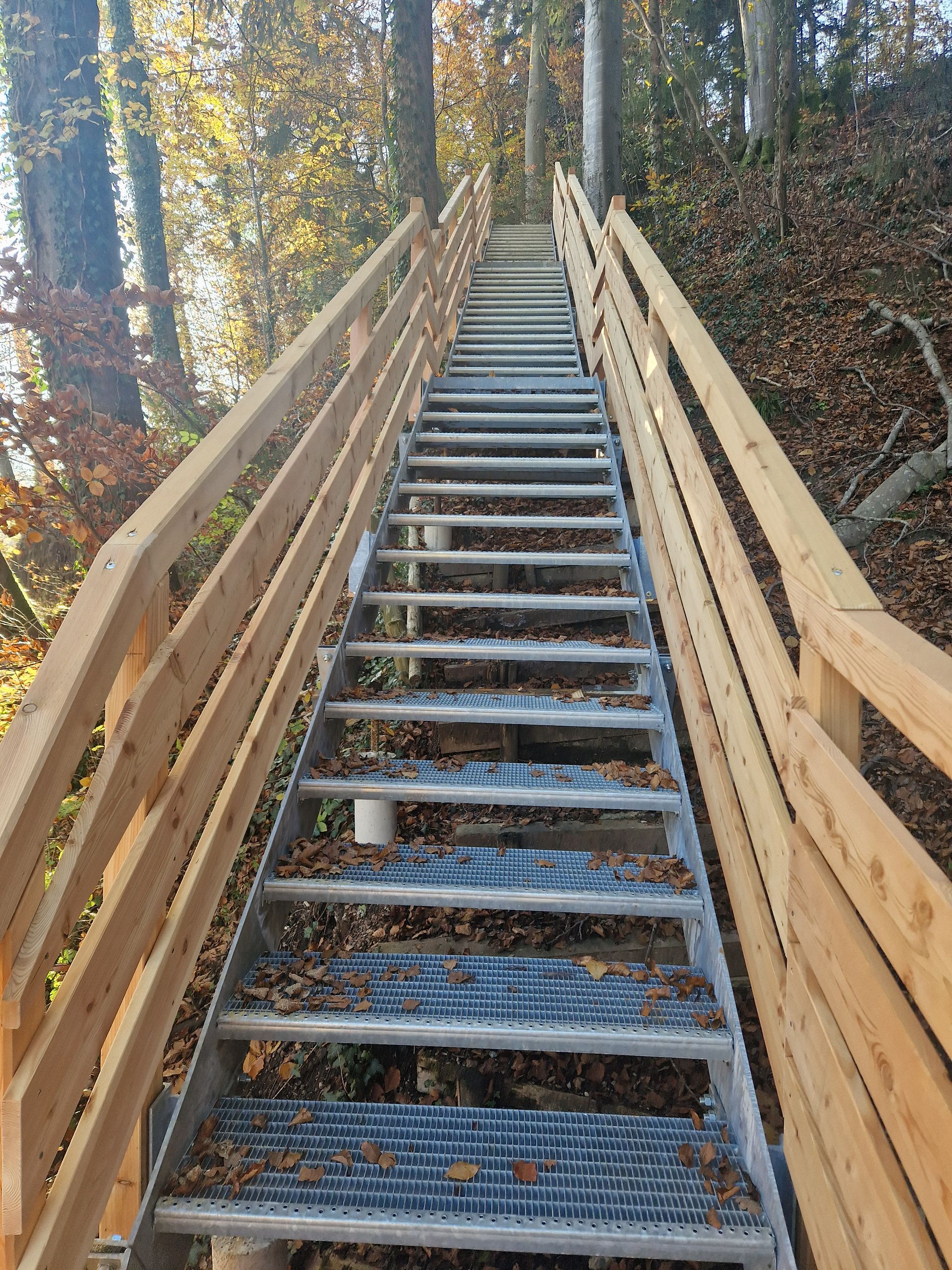 Waldtreppe mit Holzgeländer