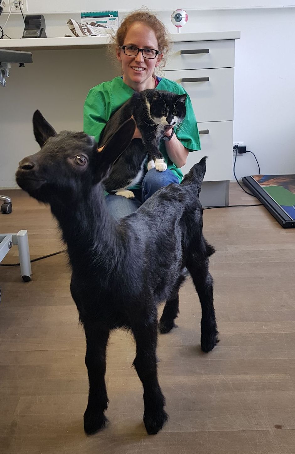 Mitarbeiterin der Tierarztpraxis Längenberg AG