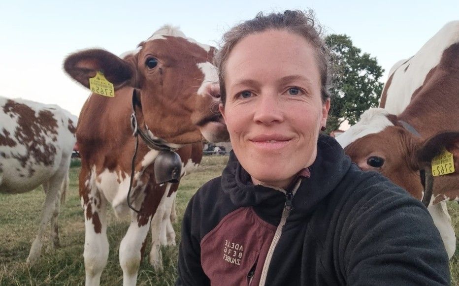 Tierärztin Maree Ruchti mit Ihren Rindern.