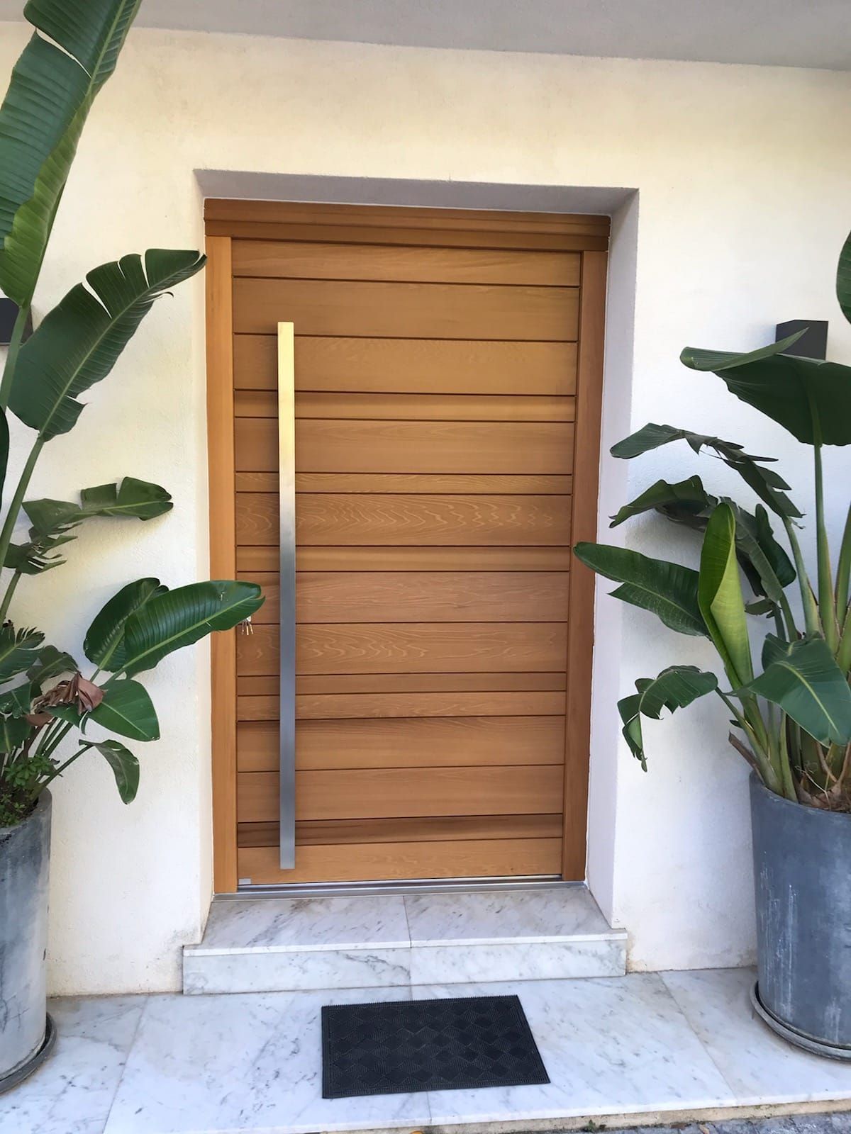 Porte en bois à panneaux horizontaux, longue poignée argentée, flanquée de plantes en pot.