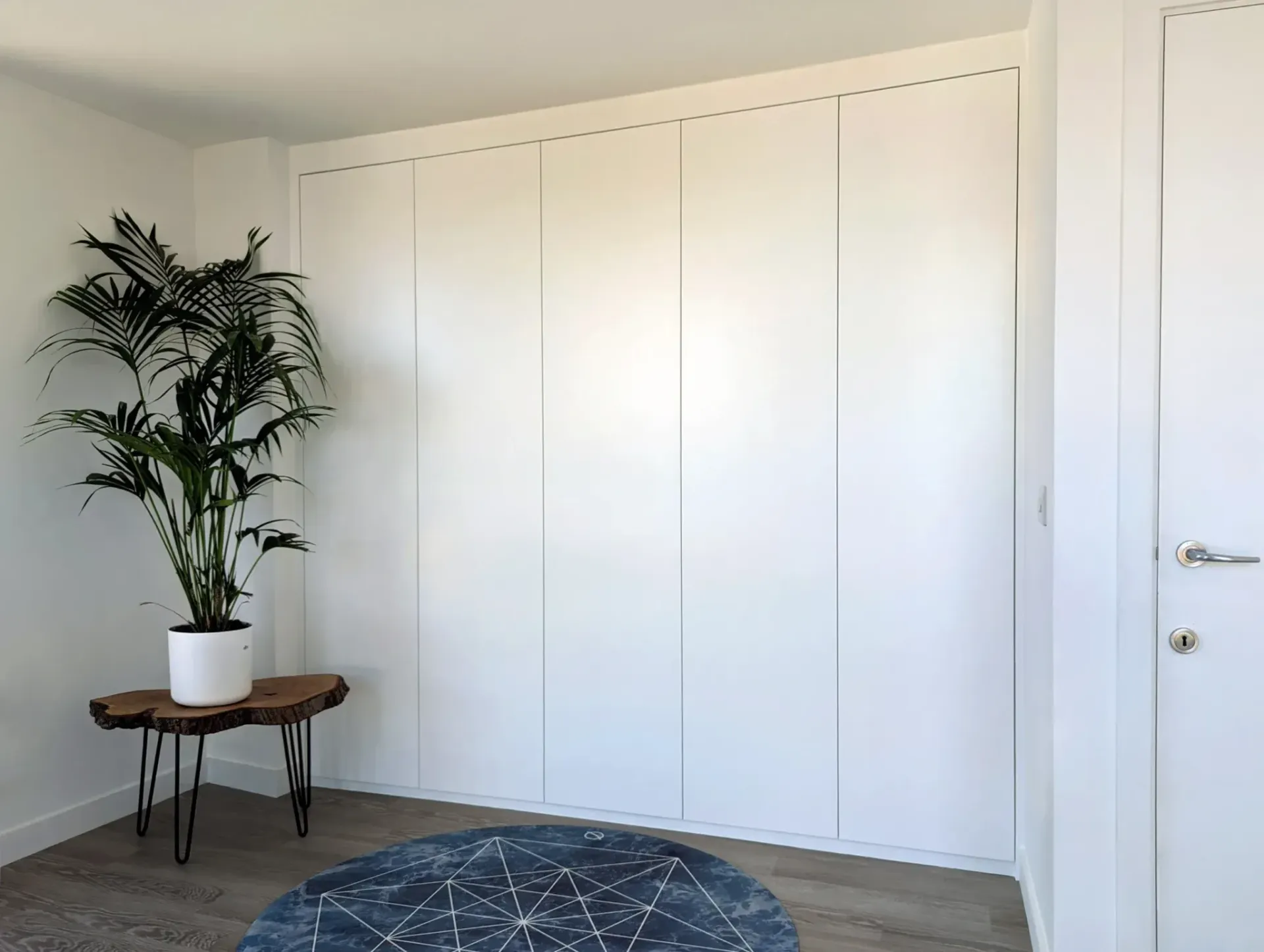 Bright minimalist room with white closet doors, a potted plant on a small table, and a blue rug