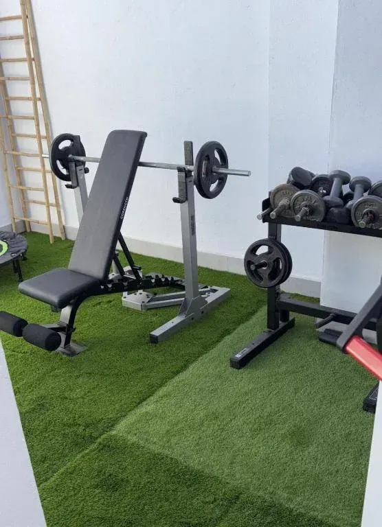 Equipos de gimnasio sobre césped verde: press de banca, mancuernas en rack, barra con pesas.