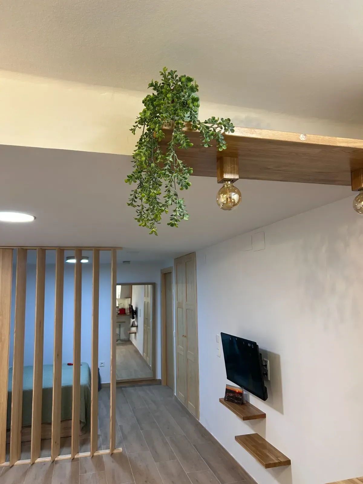Vista interior d'un apartament modern. Una biga de fusta amb plantes i llums penja del sostre.