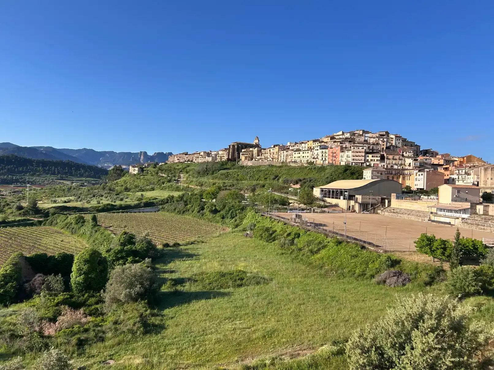 Una vista assolellada d'un poble dalt d'un turó, amb camps verds i cel blau.