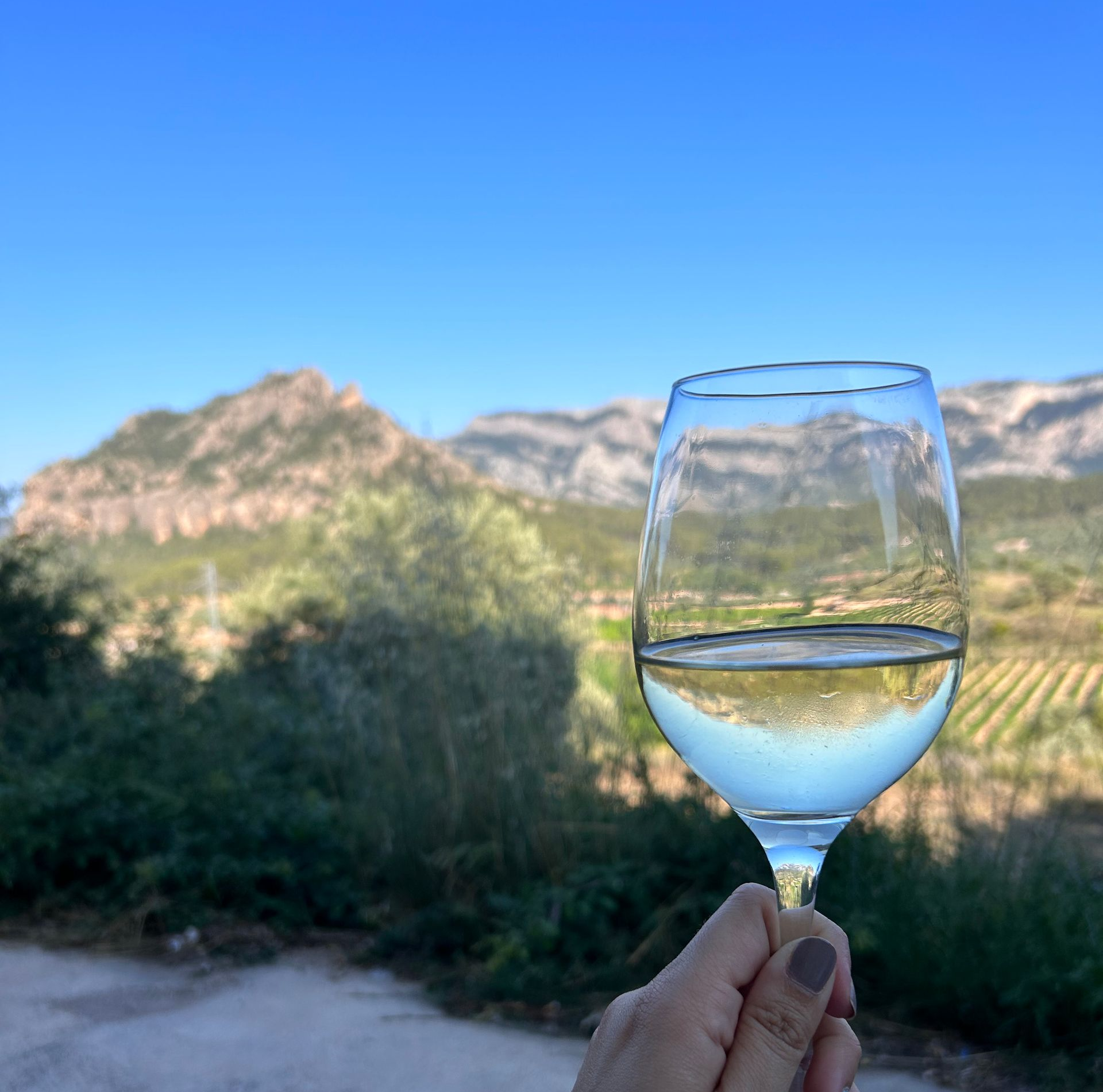 Hand holding a glass of white wine with mountains and vineyard in the background under a clear blue sky.