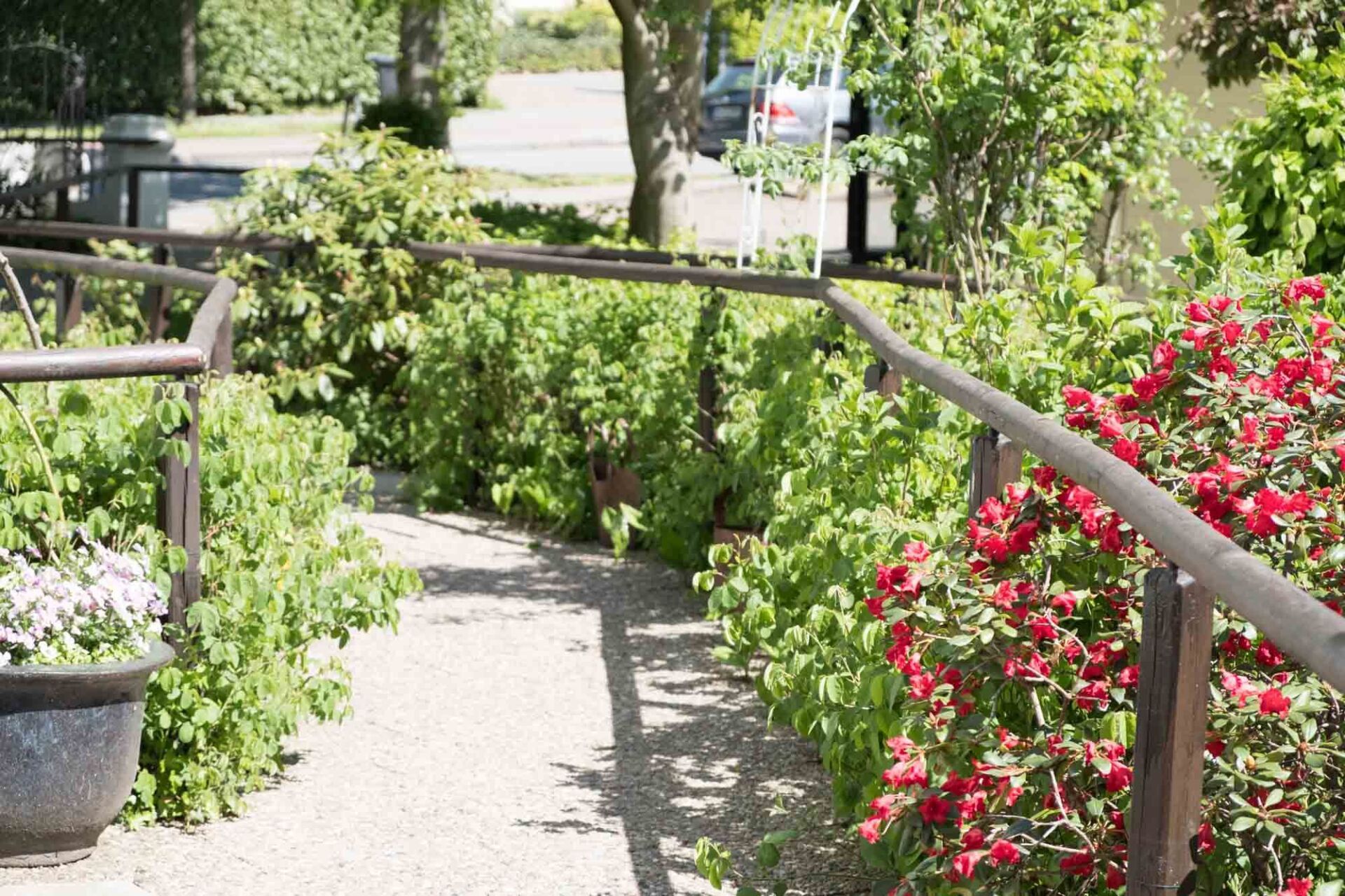 Altenpension Philipps GmbH & Co. KG in Hamburg