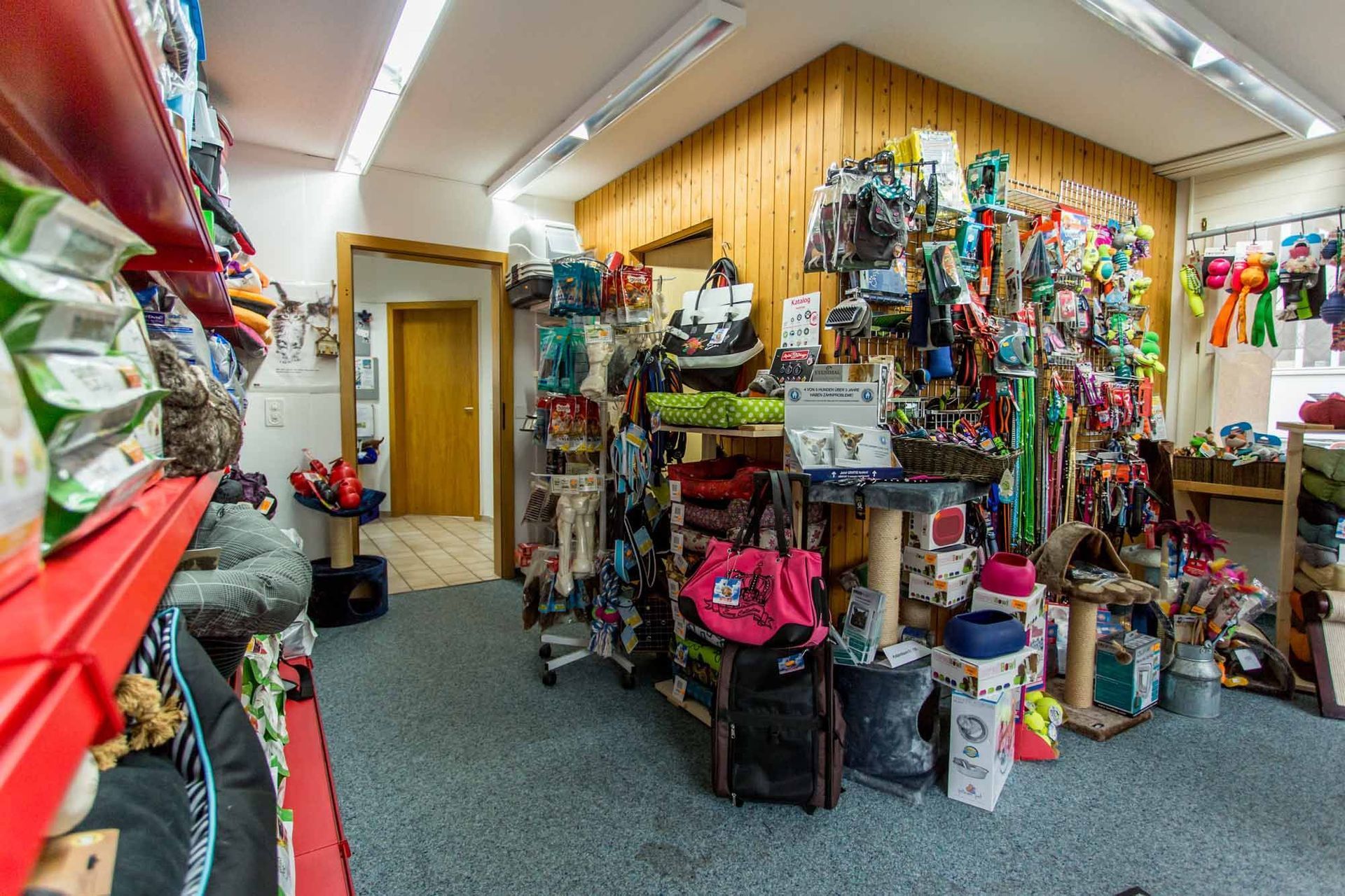 Katzenzubehör - Kleintierpraxis Rapp - Urdorf