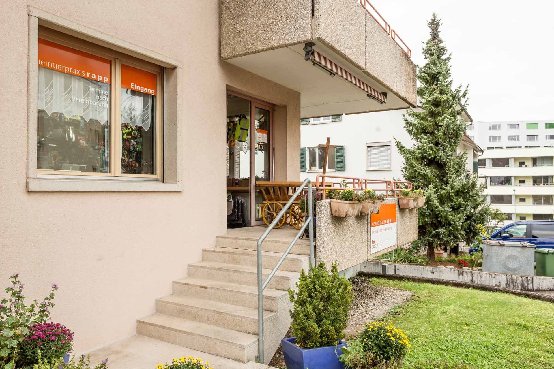 Gesundheitscheckup - Kleintierpraxis Rapp - Urdorf