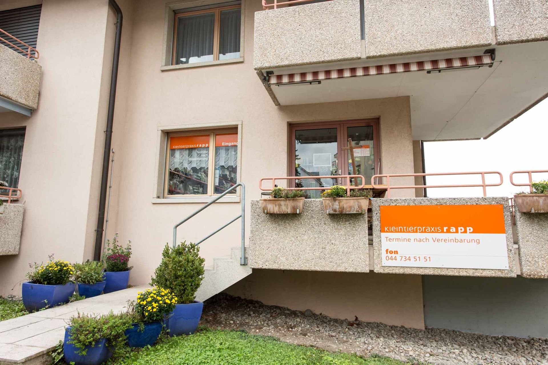 Hausbesuche - Kleintierpraxis Rapp - Urdorf