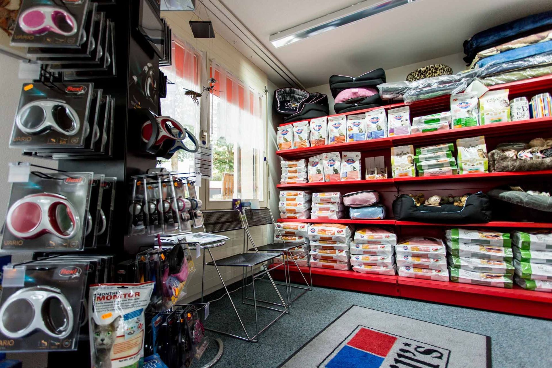 Katzenbaum - Kleintierpraxis Rapp - Urdorf