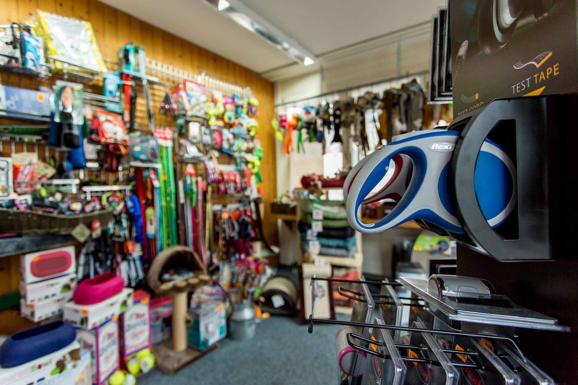 Leinen - Kleintierpraxis Rapp - Urdorf