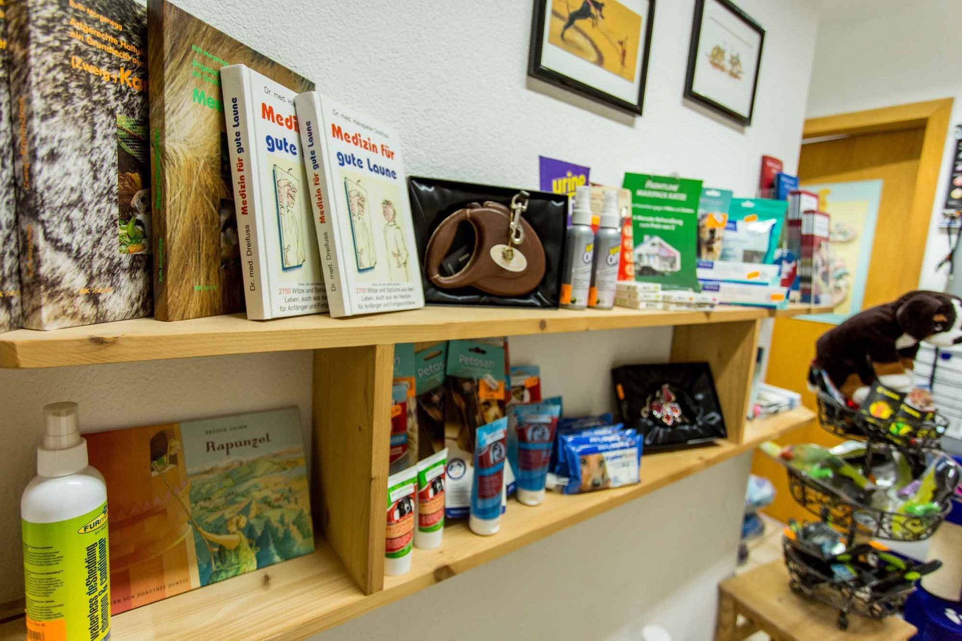 Katzenklos - Kleintierpraxis Rapp - Urdorf