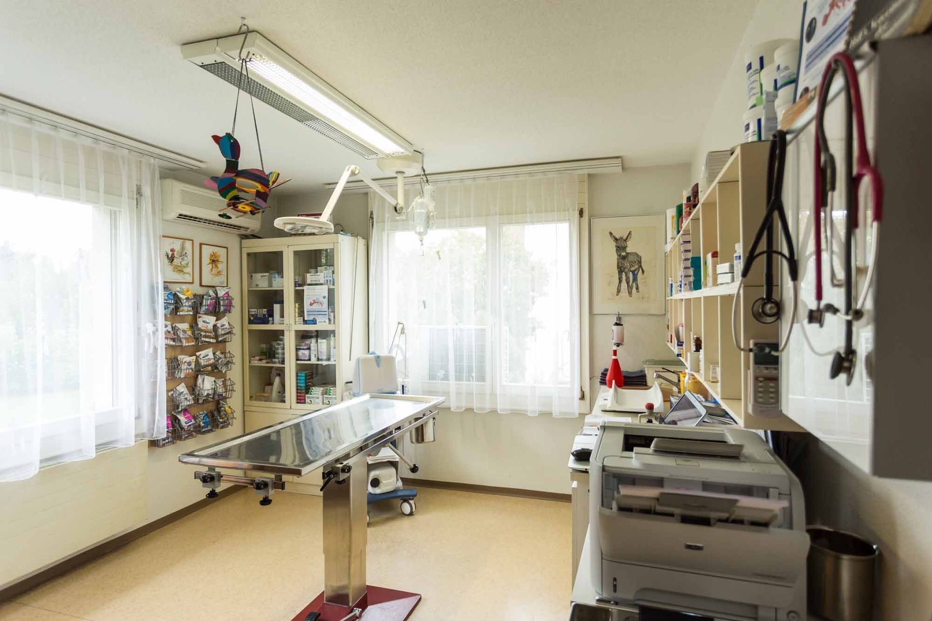 Kleintierarzt - Kleintierpraxis Rapp - Urdorf