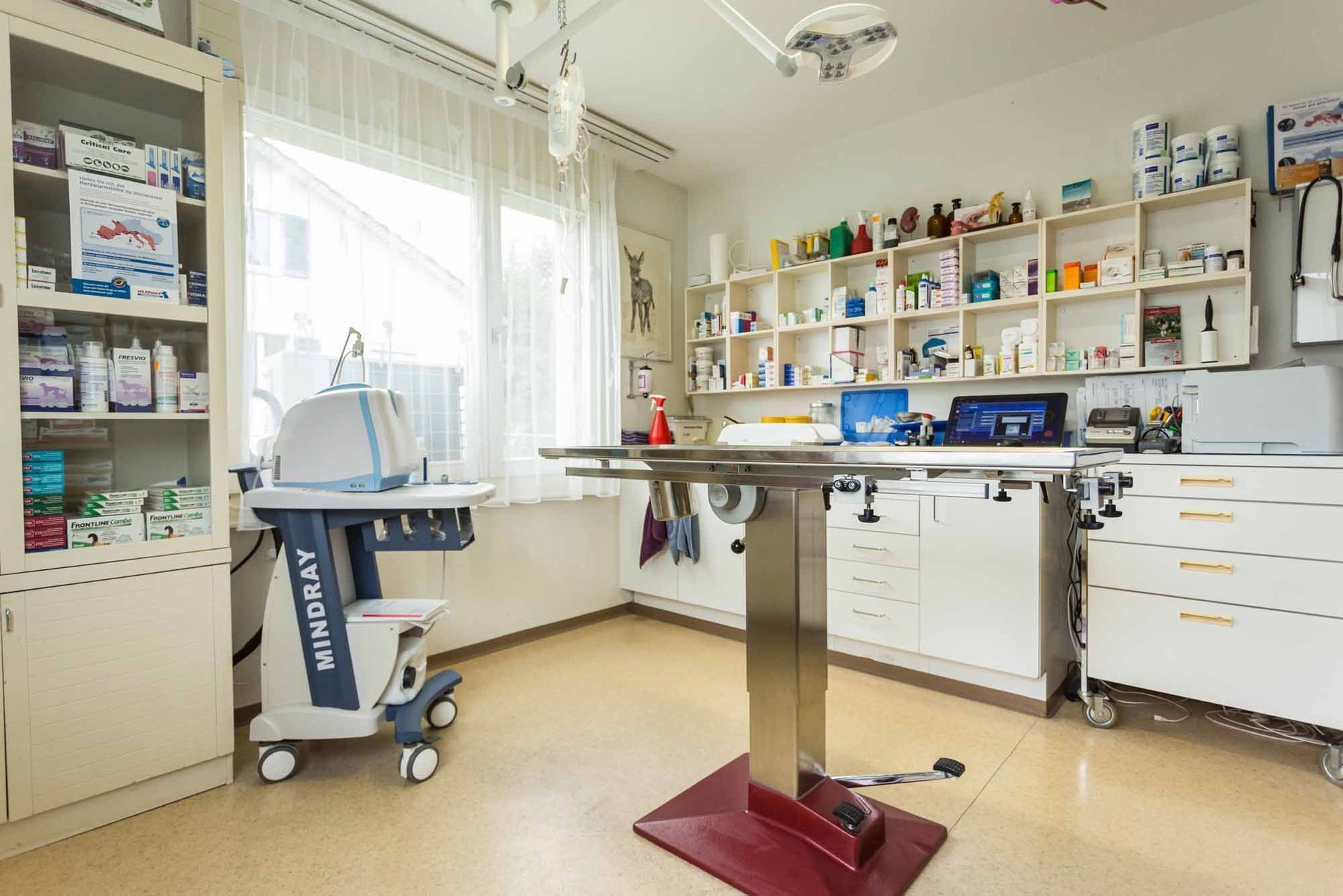 Tierarzt - Kleintierpraxis Rapp - Urdorf