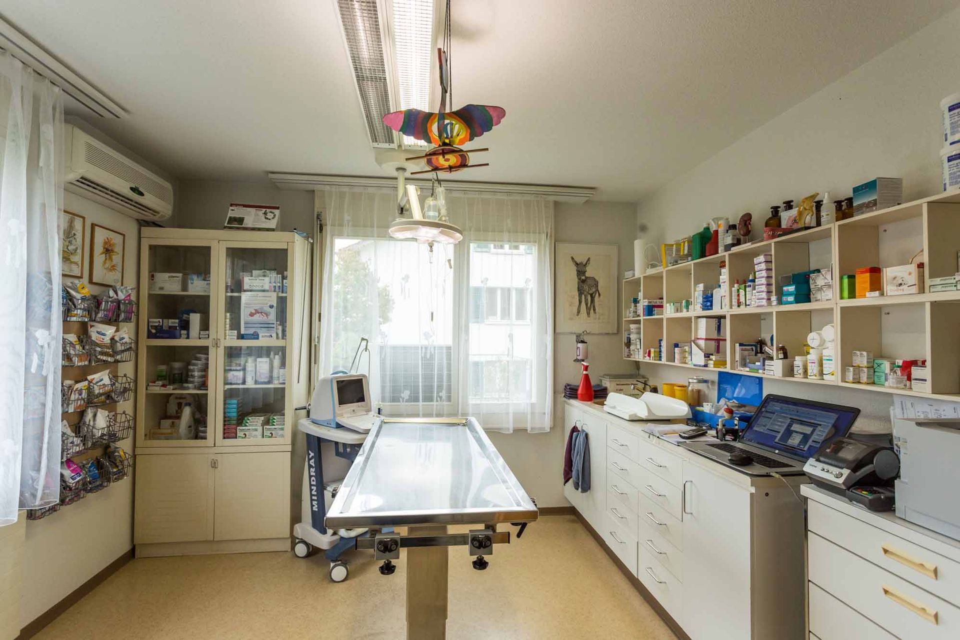 Innere Medizin - Kleintierpraxis Rapp - Urdorf