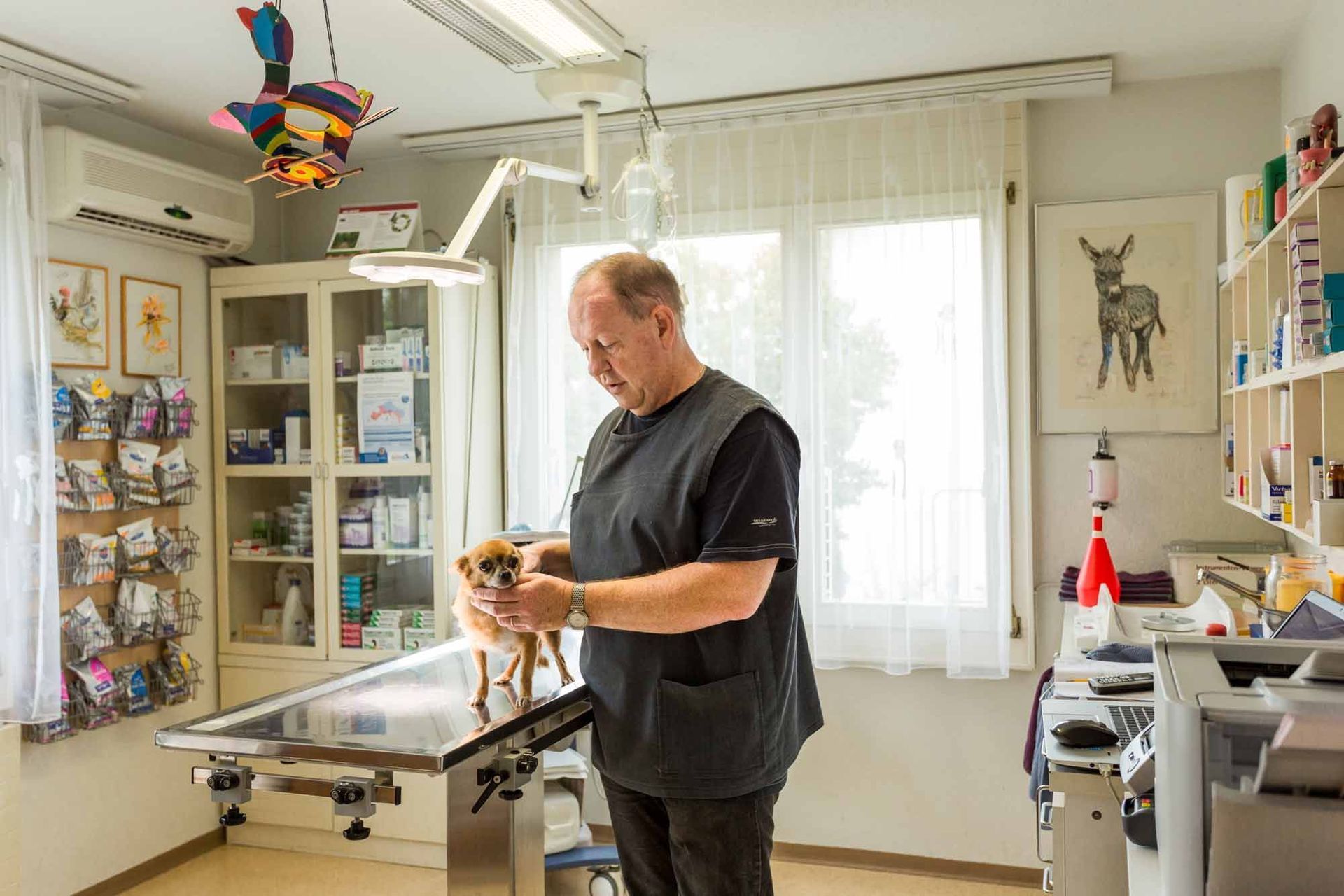 Wurmbehandlung - Kleintierpraxis Rapp - Urdorf