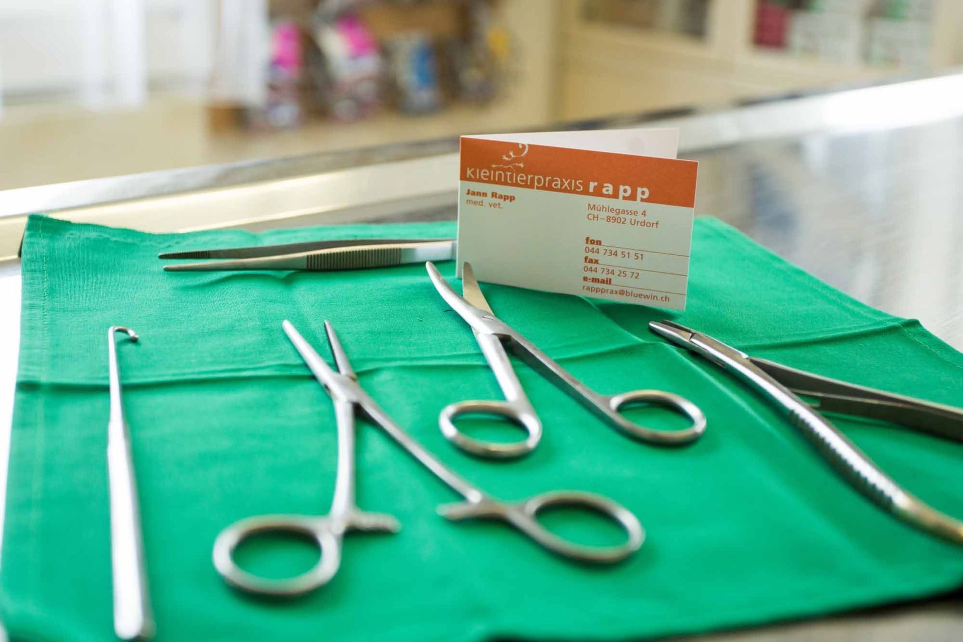 chrirurgische Eingriffe - Kleintierpraxis Rapp - Urdorf