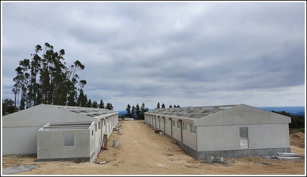 Una hilera de casas en construcción con árboles al fondo.