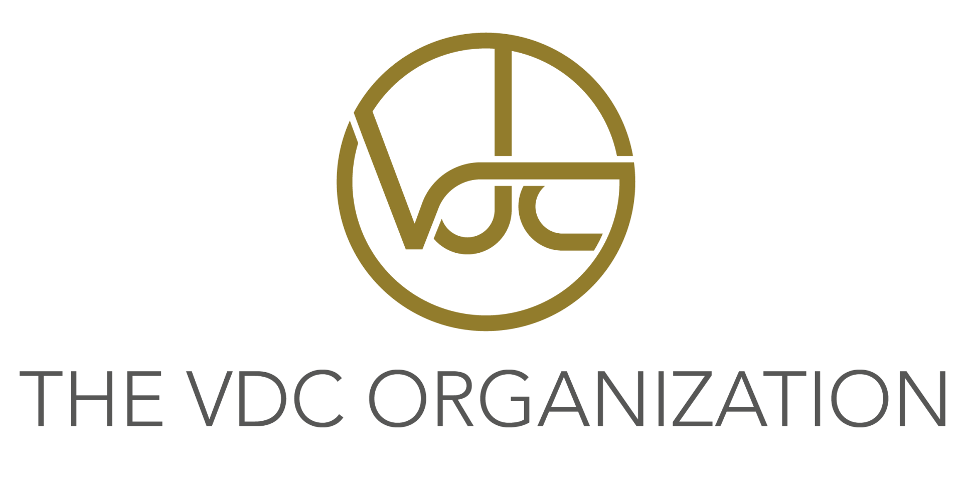 Logo The Vdc Organization