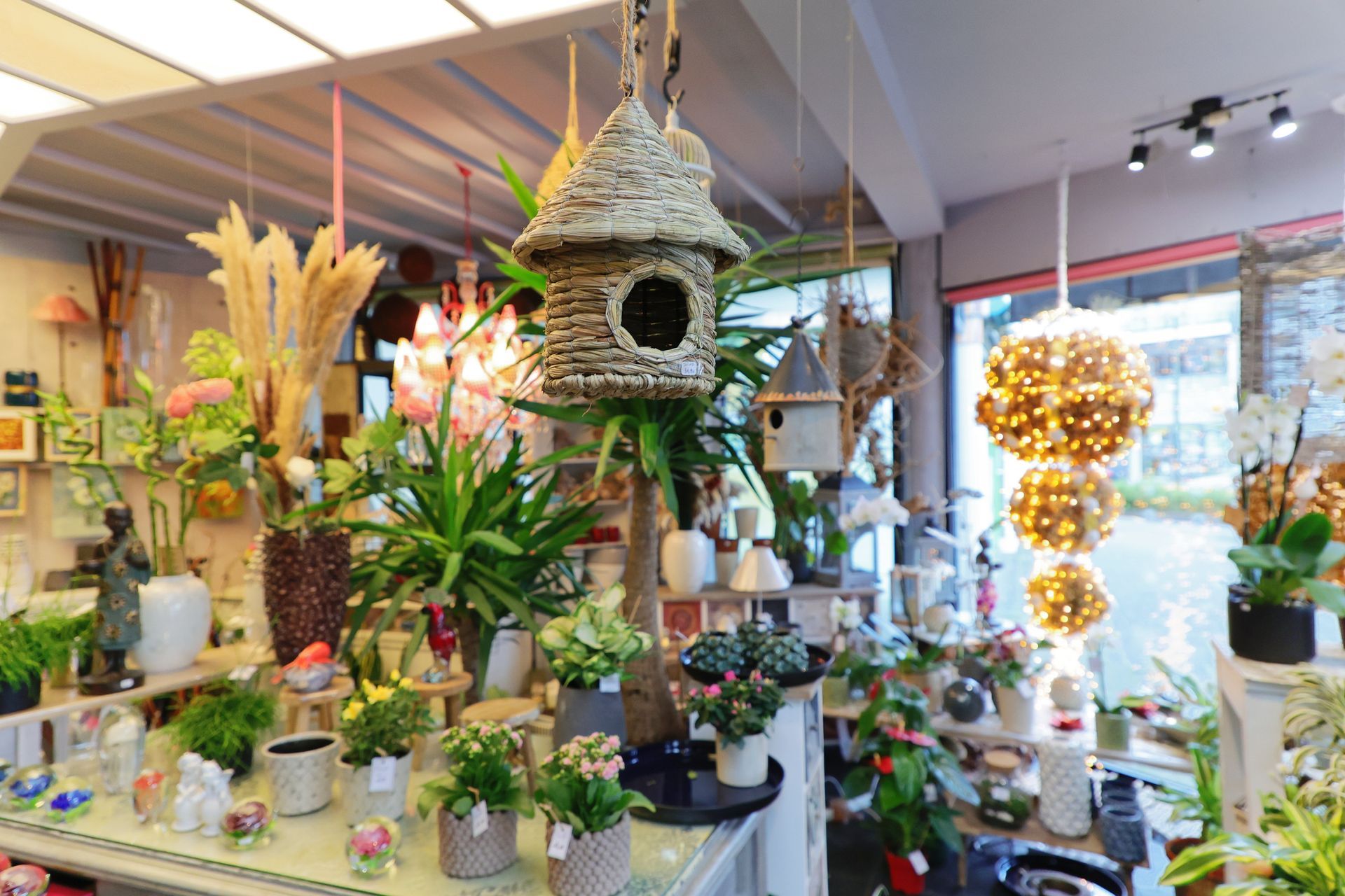 Petits pots et nichoir