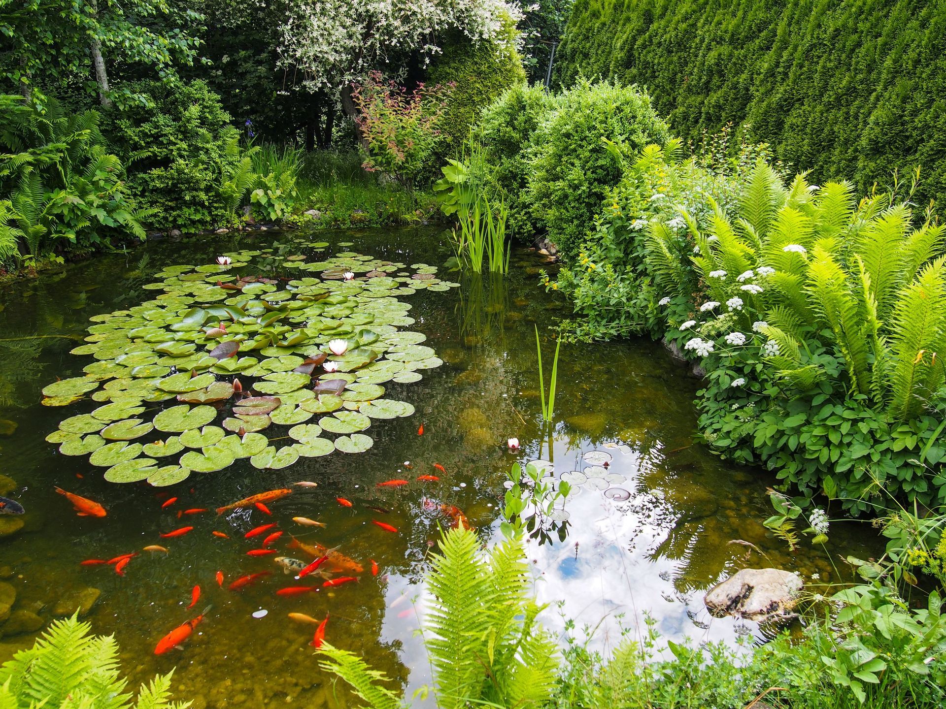 Hanspeter Müller Gartenbau GmbH
