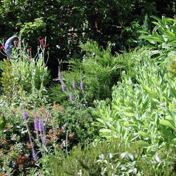 Hanspeter Müller Gartenbau GmbH