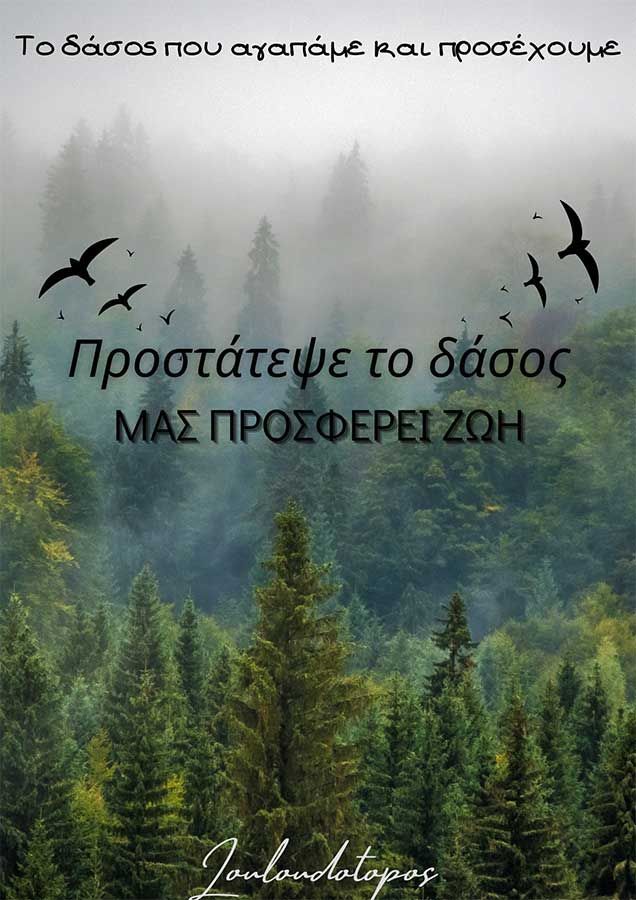 Μια αφίσα με πουλιά που πετούν πάνω από ένα δάσος στα ελληνικά