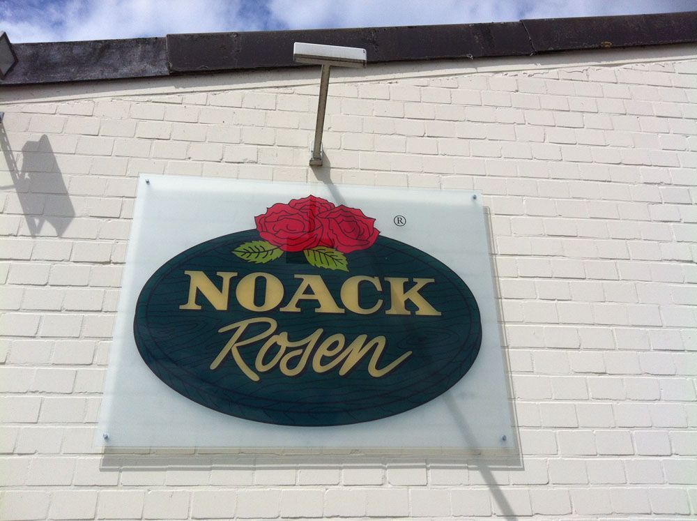 Ein Schild für Noack Rosen hängt an einer weißen Backsteinmauer