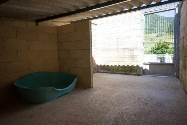 Caseta para perros de interior con una cama de plástico verde sobre un suelo de hormigón y una abertura vallada hacia el exterior.